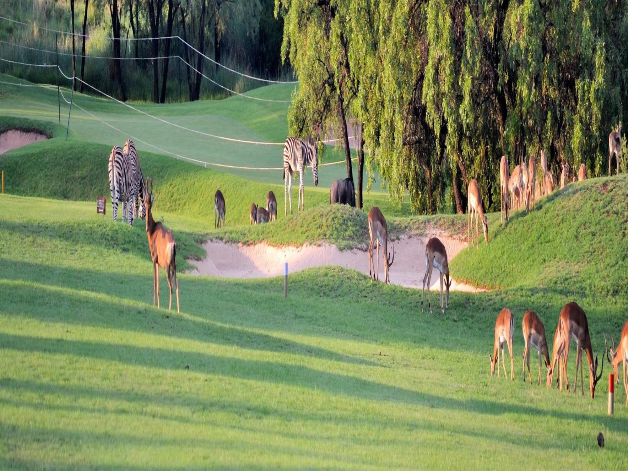 Elements Private Golf Reserve بيلا-بيلا المظهر الخارجي الصورة